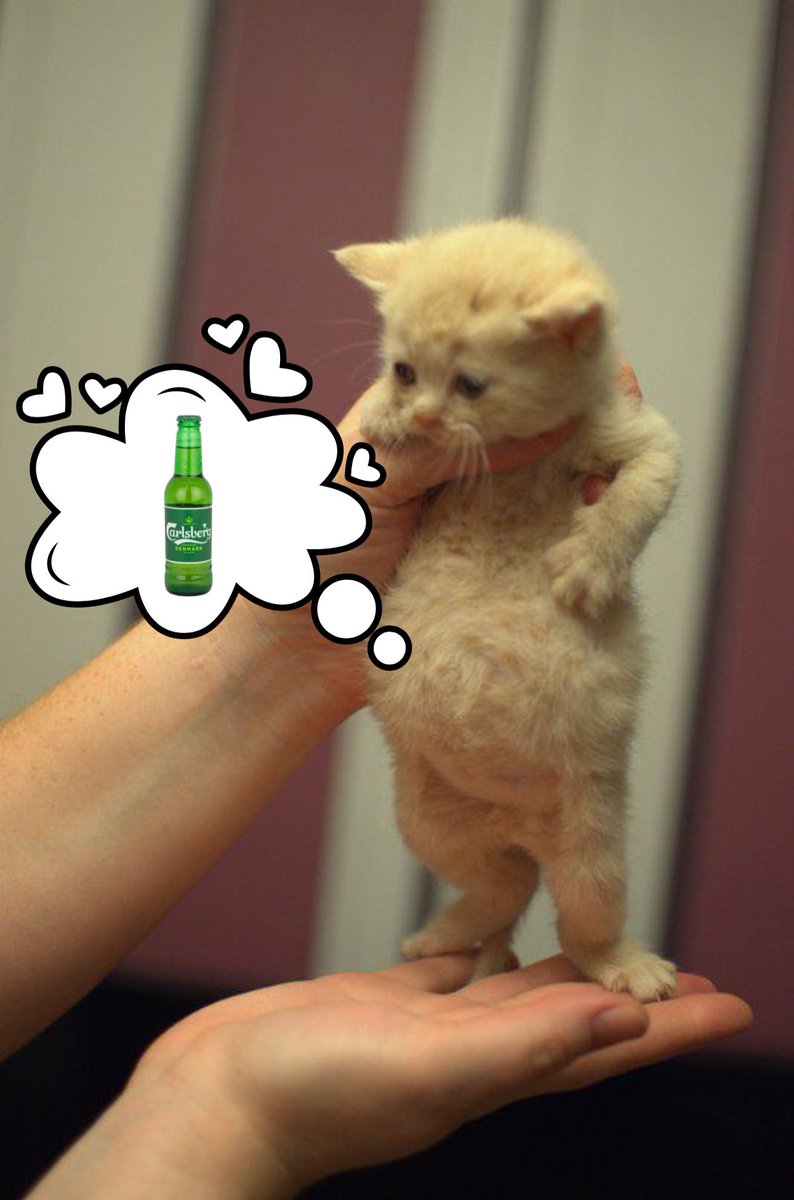 begüm salvo (@uyucamyazma) on Twitter photo 