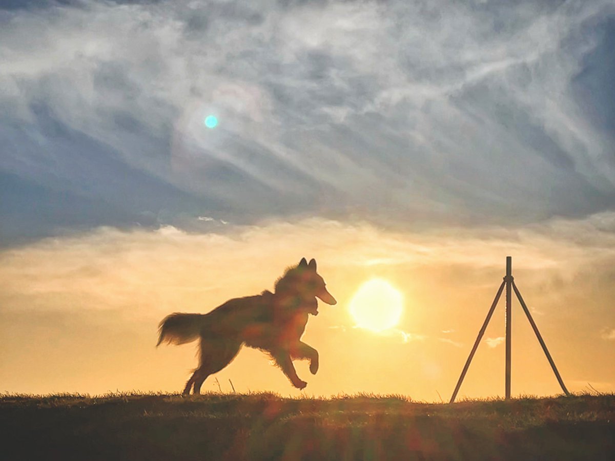 Kieran Hunt ™ tweet media