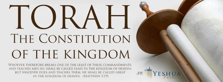 RevivingIsrael's tweet photo. @theocraticking1 https://t.co/luPoSR9jM7