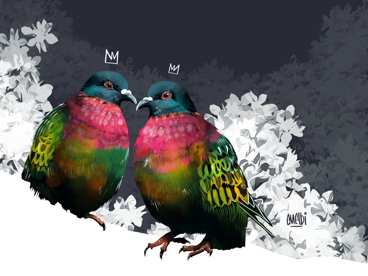 Pink Necked Green Pigeon. My image for day twenty four of #birbfest2025 #procreate #procreateartist #birdart #birbfest #pinkneckedgreenpigeon