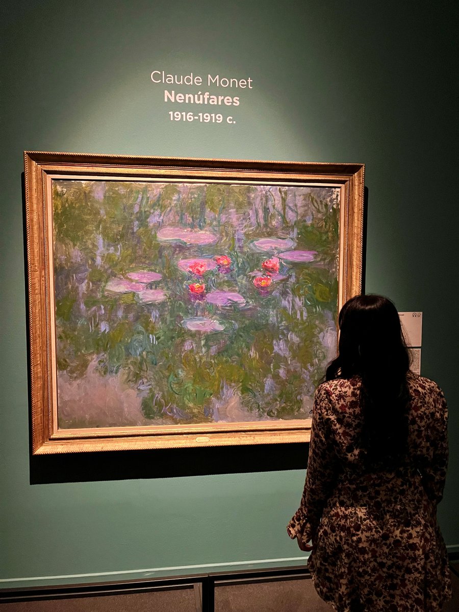 albavaazquez's tweet photo. la historia de amor de una chica y los cuadros de monet https://t.co/X43N9wKSxk