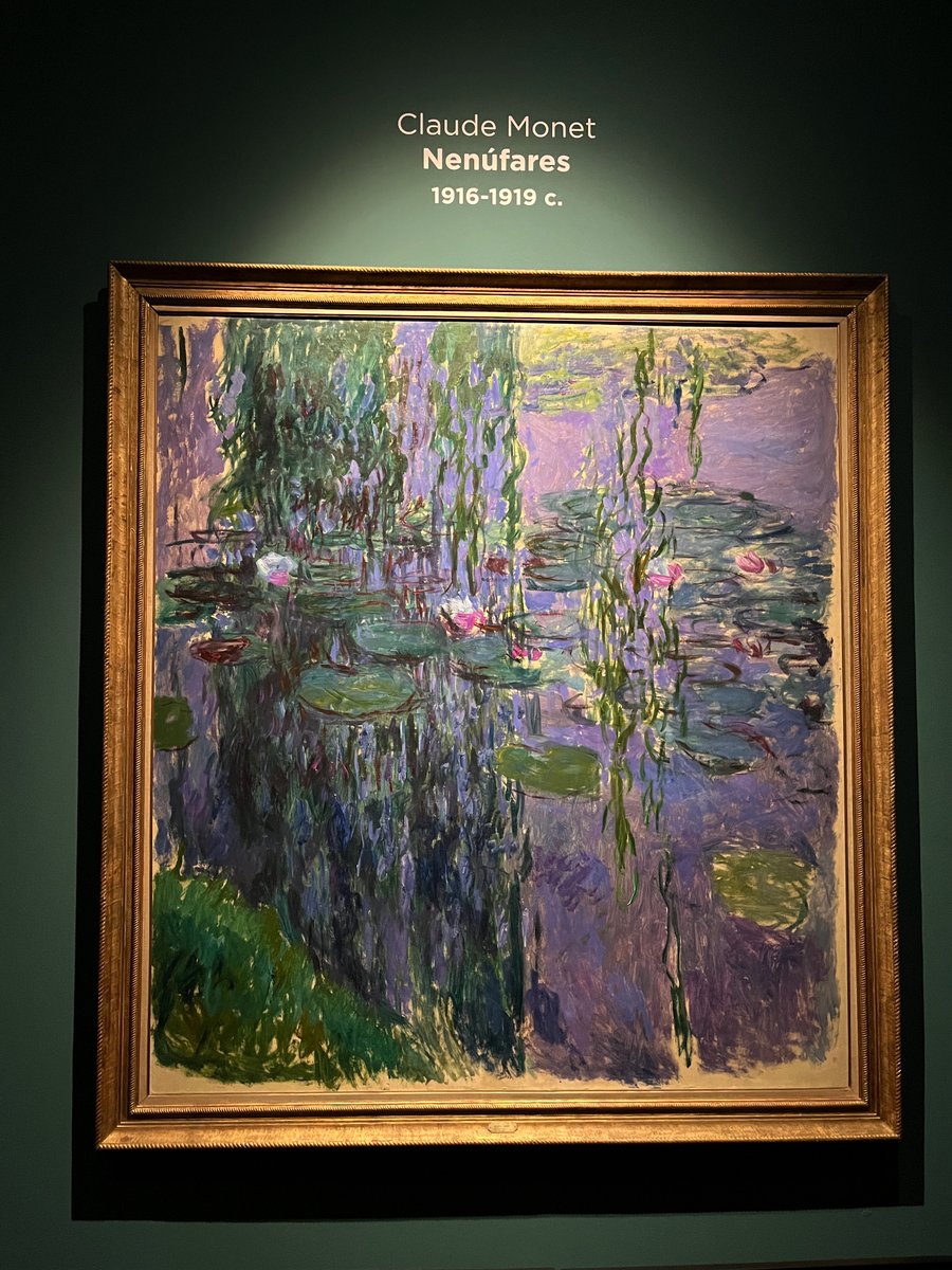 albavaazquez's tweet photo. la historia de amor de una chica y los cuadros de monet https://t.co/X43N9wKSxk