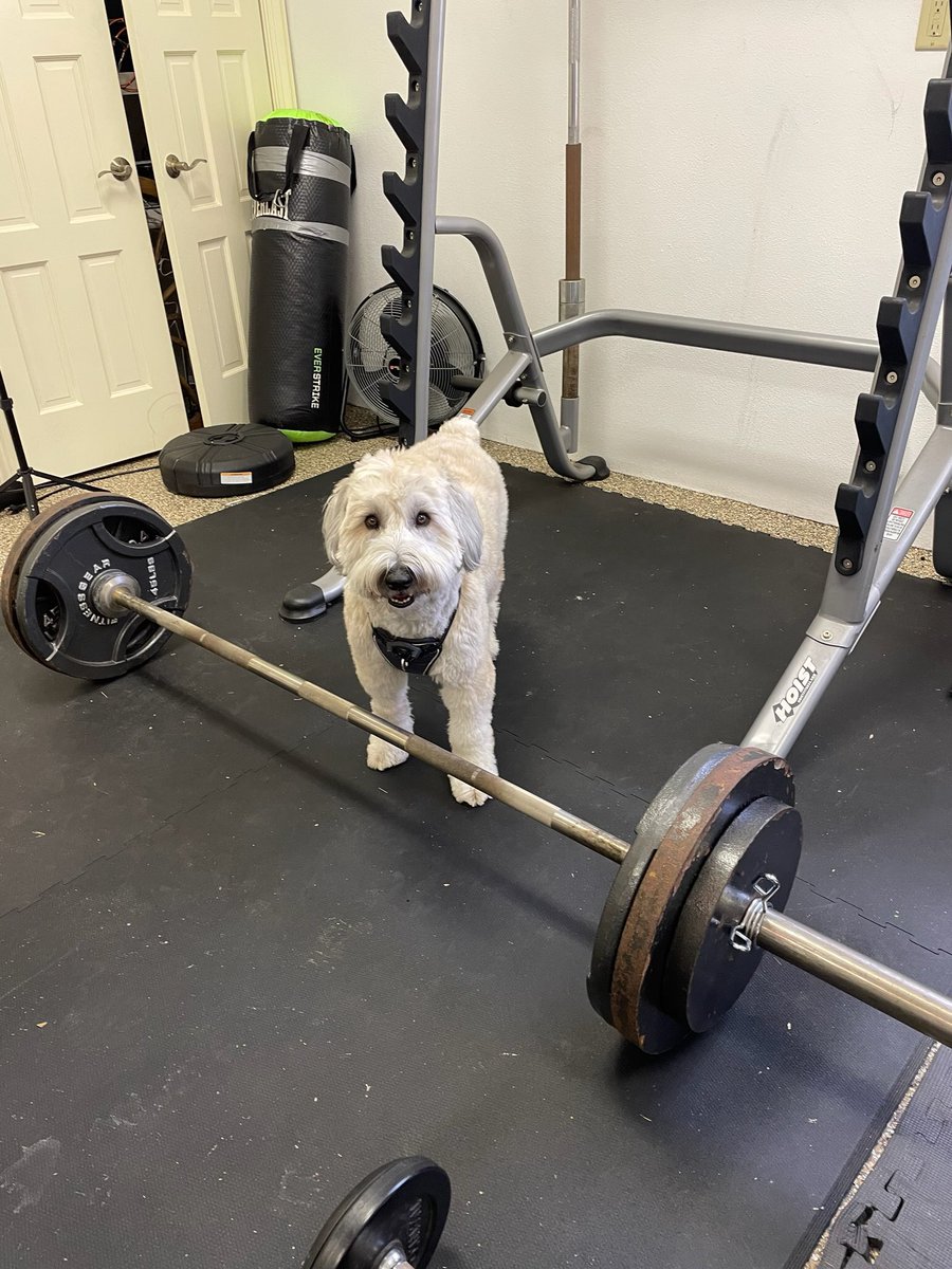 BarstoolGruden's tweet image. Scrapper getting ready for the combine.