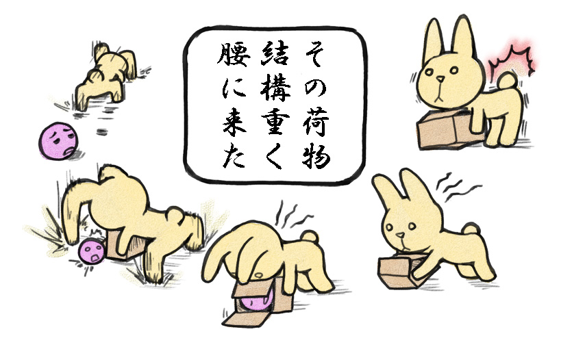 #このタグを見た人は黙ってうさぎをはる 