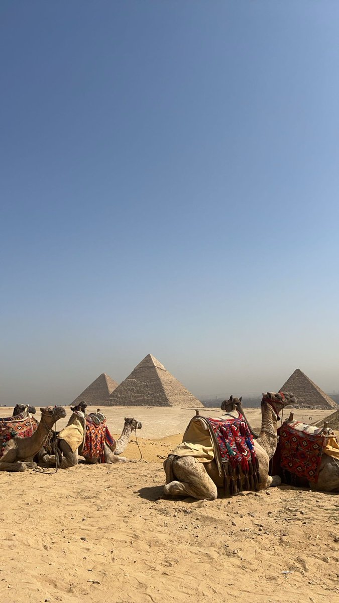 KryptoKing👑 tweet media