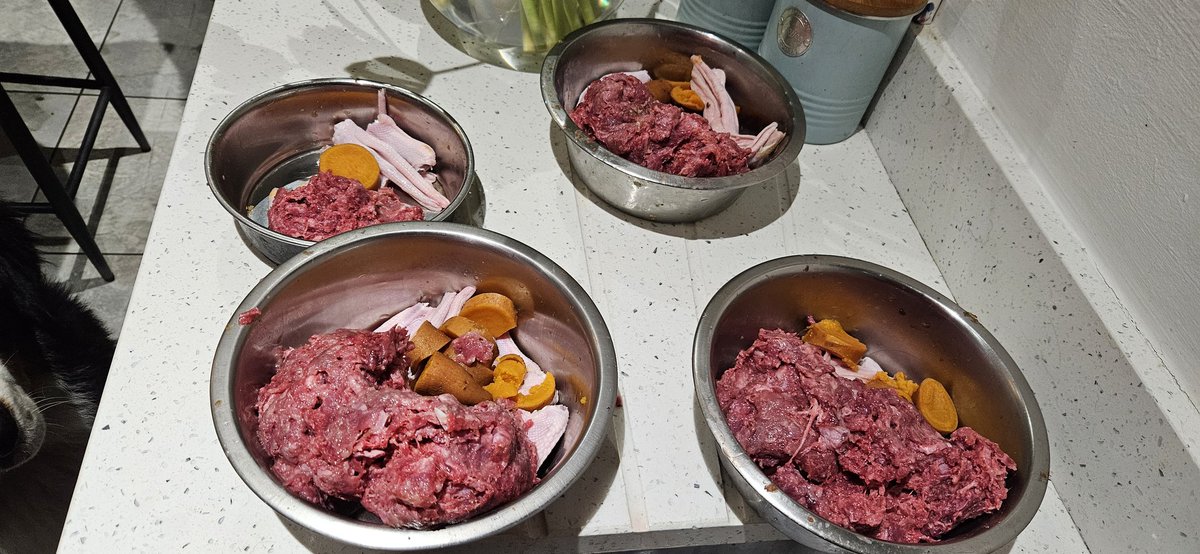 gymforthesoul's tweet image. Raw whole minced duck, raw duck feet and cooked sweet potatoes. What more could a dog ask for?! What are you feeding your dogs?
#dogsofX #rawfoodfordogs #barfdietfordogs
@mandy_mcauley @WeatherCee @epl1970 @McGuiganAmanda