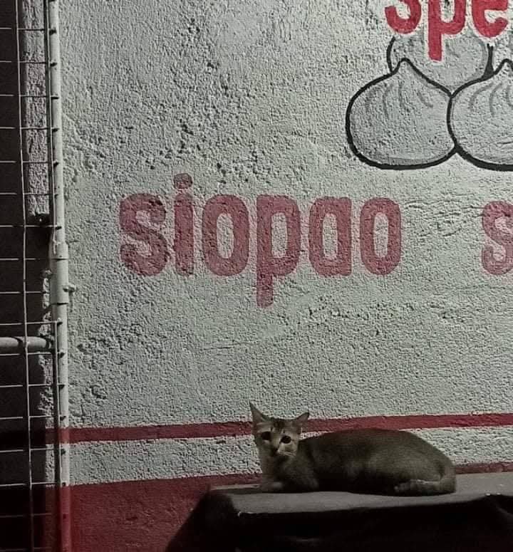 mga sulat sa daan