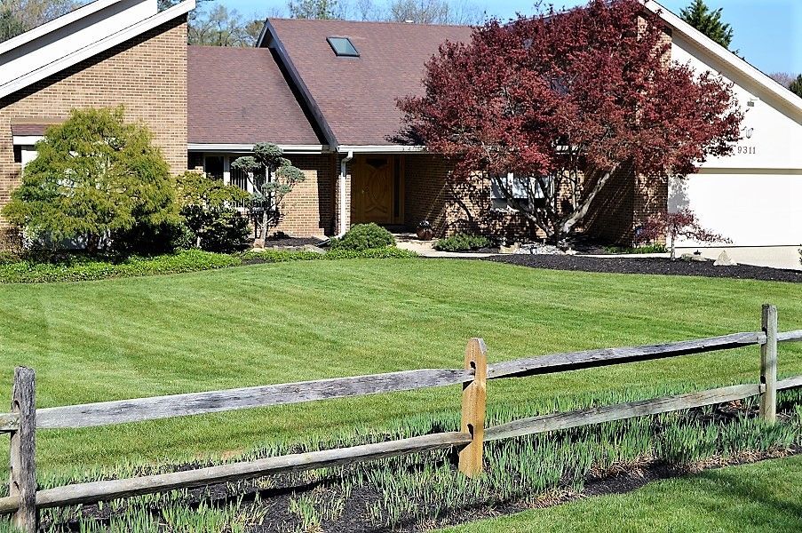 allentucklandsc's tweet photo. A beautiful, healthy, pesticide-free lawn. Safe for children, pets and bare feet everywhere.
#PesticideFreeLawn #SafeAndBeautiful #HealthyLandscapes #PotomacMD https://t.co/w6dX2e1JDD