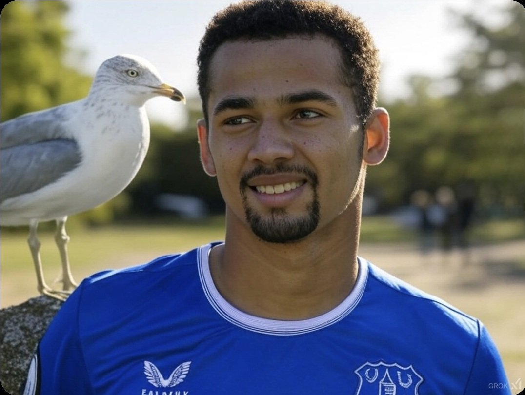 ToffeeTVEFC's tweet photo. Disgusting that Ndiaye was booked for dedicating a goal to his pet Seagull, Steven https://t.co/HhnaZHSYe2