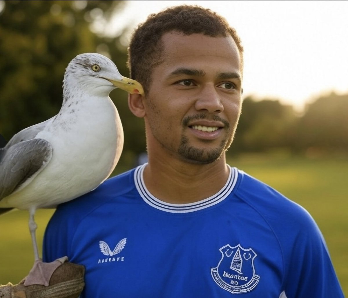 ToffeeTVEFC's tweet photo. Disgusting that Ndiaye was booked for dedicating a goal to his pet Seagull, Steven https://t.co/HhnaZHSYe2