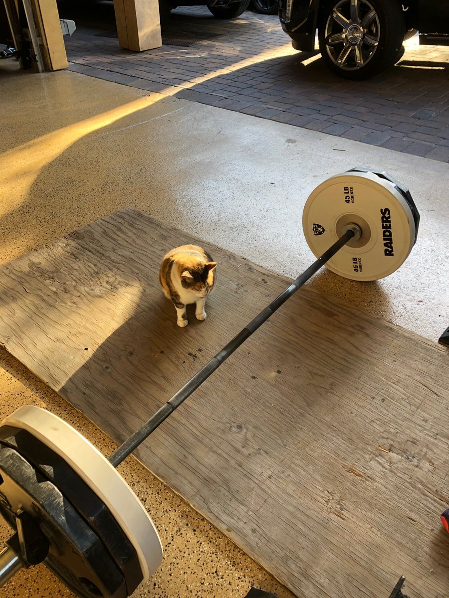 BarstoolGruden's tweet image. Sophie looking at 315. 

She’s got this.