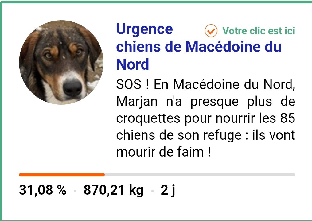 beta3093's tweet photo. 🆘🚨 #URGENT QUE 31%🆘
🆘🚨Reste q 1jr+1h🆘🚨
🆘🚨On n'avance pas🆘🚨
🆘🚨C'EST HORRIBLE OÙ ÊTES-VOUS ?
🆘🚨 #HELP #CLICKS 🆘
🆘🚨SVP #CLICS #GRATUITS EN MASSE🆘🚨
🆘🚨Toutes les 4-5h🆘🚨
🆘SOS 85chiens des rues du #Macedoine ont besoin de nous,meurent de faim🙏 https://t.co/rkppXFqJ9z