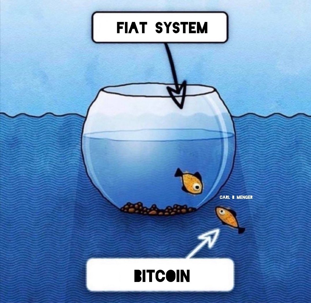 stackbitcoin21 tweet picture