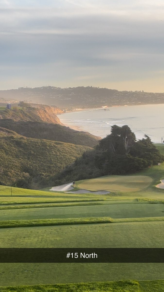 Damian Beasley tweet media