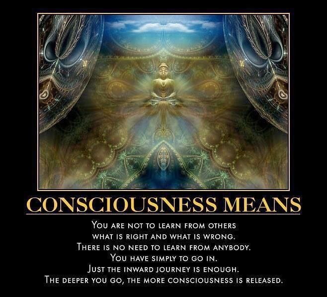 The Seeker of Truth 369 tweet media