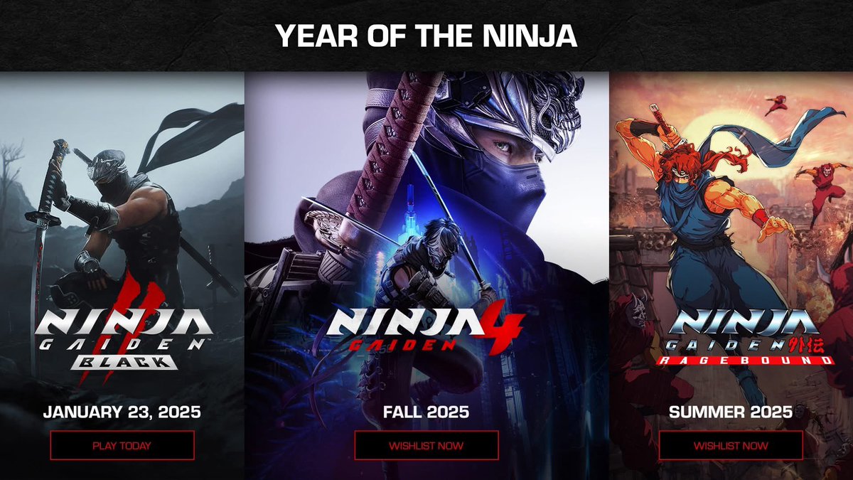 I’ve been keeping the Ninja Gaiden secret for so long it was killing me. Welcome to “The Year of the Ninja!”