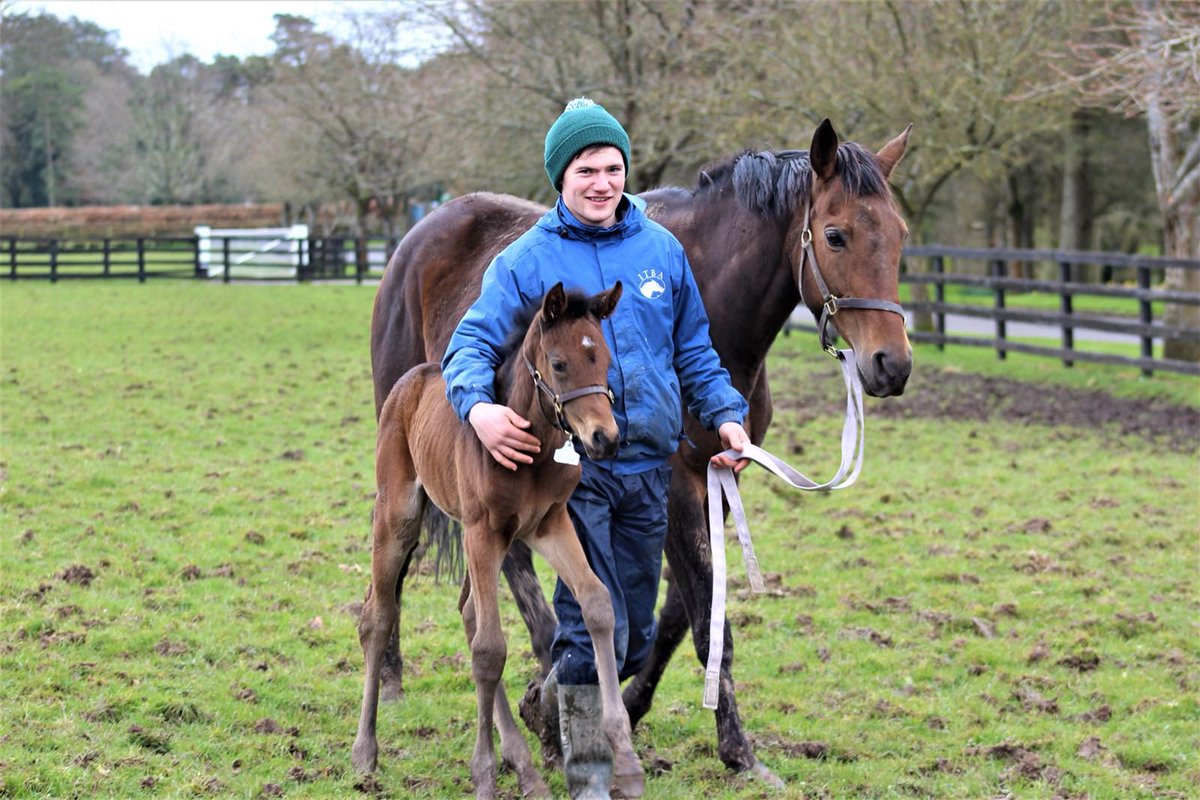 Jack Harty tweet media