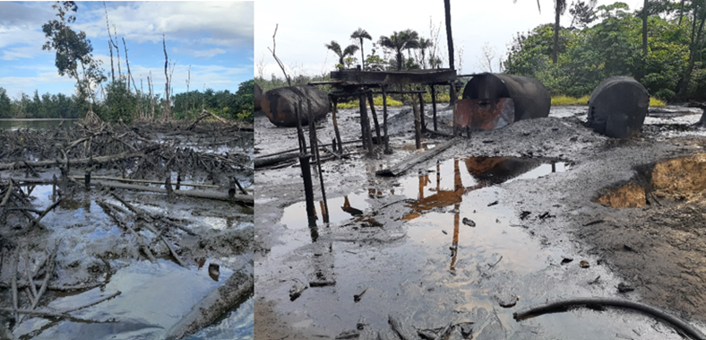 iniunam2's tweet photo. Our recent paper explored the ecological consequences of crude oil spills on bird communities in the oil-rich Niger Delta area within the Afrotropics. We found that oil spills affected functional richness and diversity negatively. Please share and comment.
https://t.co/uib0phzcHa https://t.co/Sb9Ait6mNo