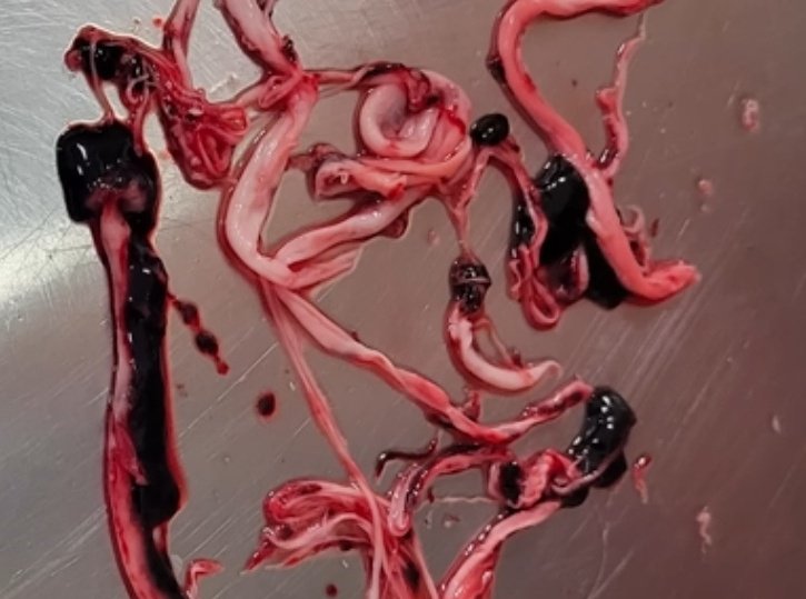 tmallard's tweet image. The 1986 law cannot #exonerate inadequately tested product having detritus leftovers uncleaned as a #quality_control, #quality_assurance issue having NOTHING to do with its performance 

Laws that apply are to substandrd product like a dirty kitchen breeding disease needs to be…