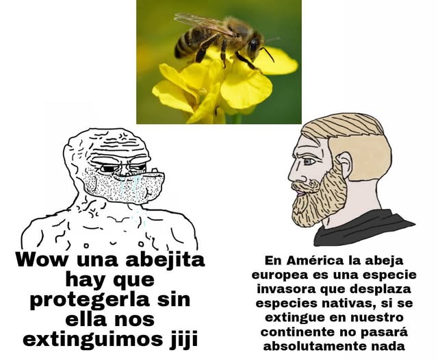 Una hormiga que mira tu post 🐜 tweet media
