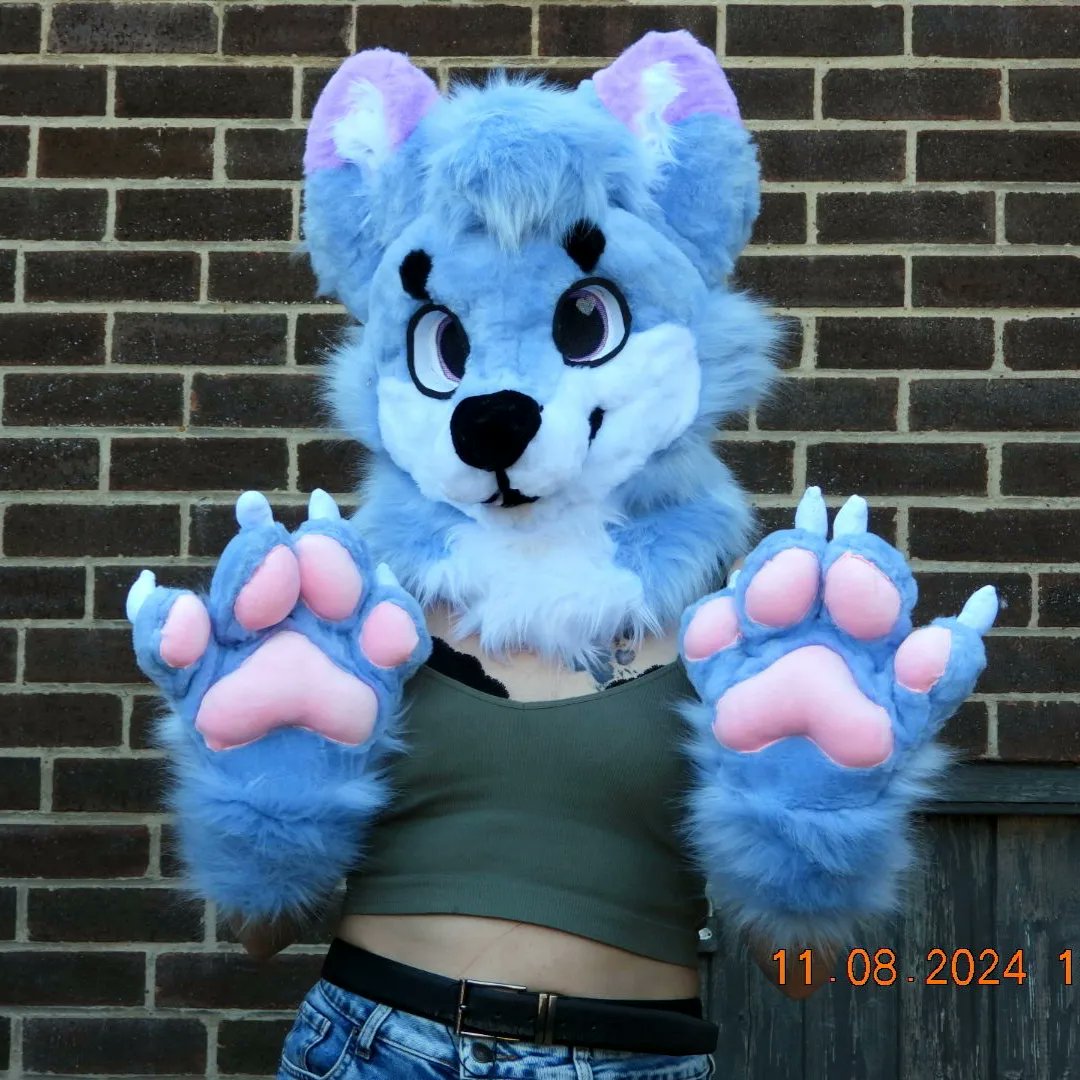 Aiko_Studios_'s tweet photo. Here's the last partial that I completed a good few months ago :) hope you enjoy 

#fursuitmaker #fursuitmaking #furryfandom #fursona #fursuit #fursuitfriday #furrys #furry #fursuits #furrycommissions #fursuiter #furrypride #fursuittail #furrycommunity #ukfurries #ukfursuitmaker https://t.co/lh1H7NtqrZ