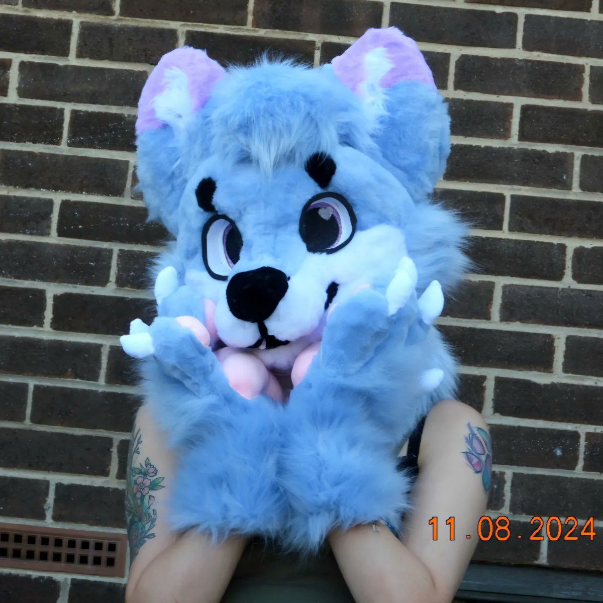 Aiko_Studios_'s tweet photo. Here's the last partial that I completed a good few months ago :) hope you enjoy 

#fursuitmaker #fursuitmaking #furryfandom #fursona #fursuit #fursuitfriday #furrys #furry #fursuits #furrycommissions #fursuiter #furrypride #fursuittail #furrycommunity #ukfurries #ukfursuitmaker https://t.co/lh1H7NtqrZ