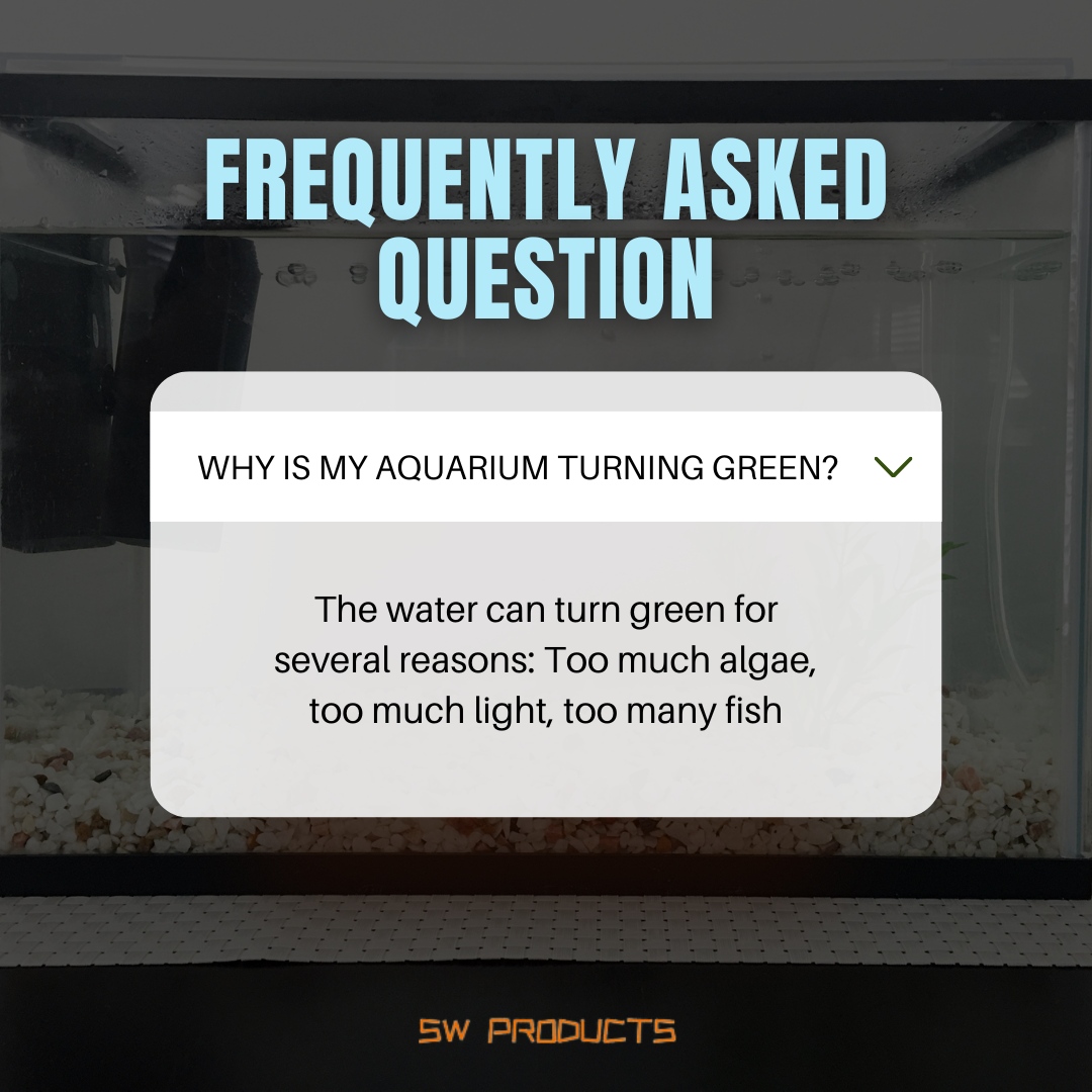 SWProductsSW's tweet photo. The solution: reduce direct sunlight exposure, perform water changes, and use an aquarium filter to polish the water.

Contact us today at +1.949 202 6168
 
#SWProducts #SunnywayEnterprises #AquariumCare #HealthyAquariums #FishTankMaintenance #AquariumTips https://t.co/nDKGcGuDuF