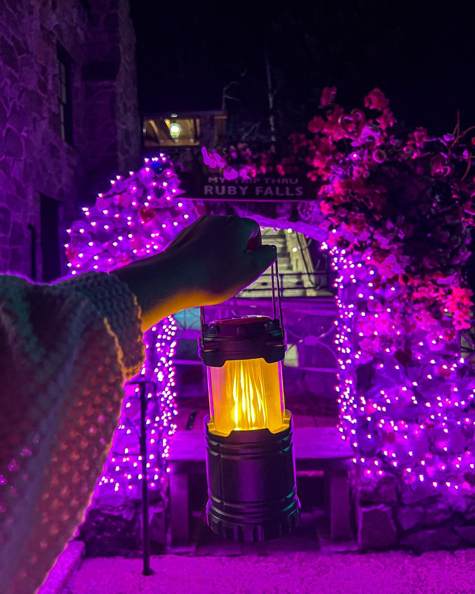 RubyFallsCave tweet media