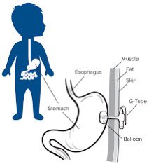 AbsMidz👸🏻 tweet media