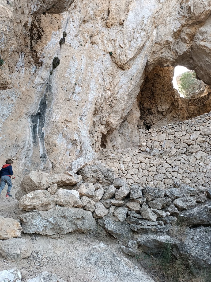 AEC_Reus's tweet image. Aquest proper diumenge 2 de febrer anem a la Serra de Cardó🌳🥾🎒

Gràcies a la col·laboració amb el @CEBaixCamp podem anar-hi amb bus 🚍 per contaminar menys ♻️.

Ens acompanyes?
aec.playoffinformatica.com/PanellActivita…
#EsportVerd #ElBaixCampITuAPeu
#AECReus #FEEC