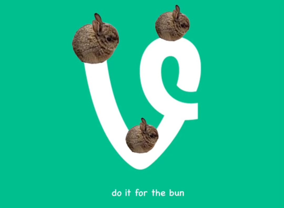 bunsolanacto's tweet image. All for the $Bun. #vine #smolbun #Solana