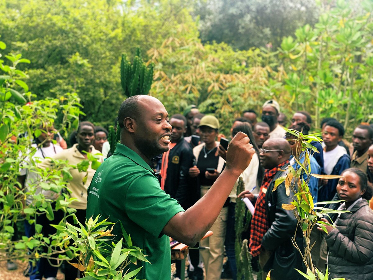 Mapendo MINDJE (Frogman of Rwanda) 🇷🇼 🐸 tweet media