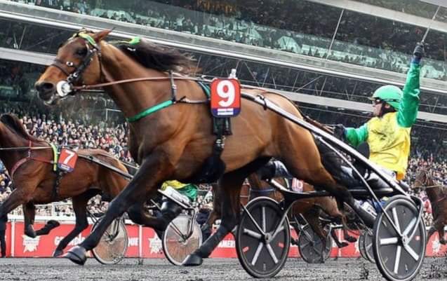 Face Time Bourbon star in 🇨🇵 with his sons Frank Gio and Golden Gio.