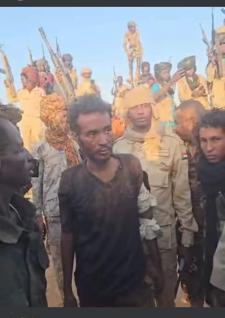محمد 👑 السر tweet media