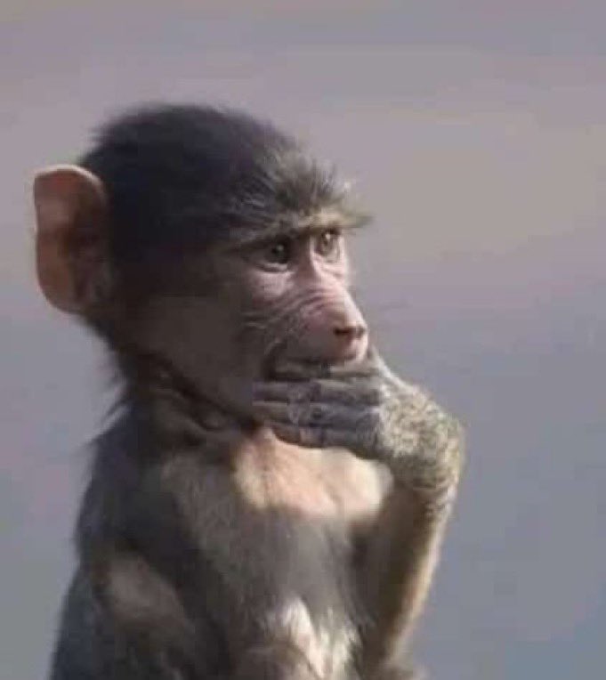 Na_yomy's tweet photo. O problem atu twitter nuunona mboli man… I wish X could just filter for us who to interact with, personally I would prefer twting with my fellow 30s and above. https://t.co/th1Ckpaxlz