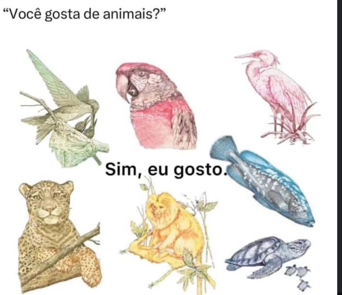 shitpostverdade's tweet photo. https://t.co/2P1SzZLI3S