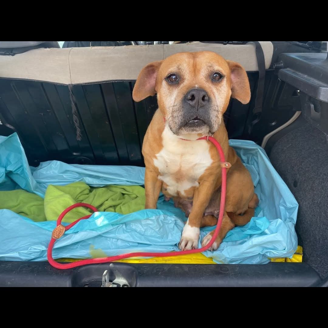 Emilystellaemi2 tweet media