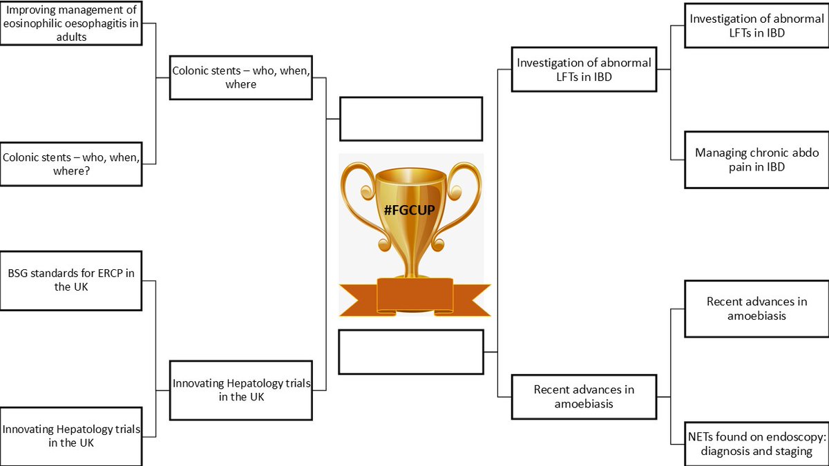 This is how #FGCup is shaping up. Some fierce competition and it is only going to get fiercer! We expect some good debate onwards on which paper deserves that sought after trophy!

Timeline looks like this:
Monday 27th - Vote 1 for 3 days and Vote 2 for 3 days
Monday 3rd Feb -