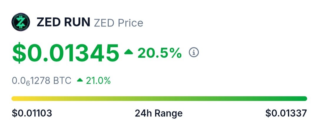 Peeps racing today ↗️ <a href="/zed_champions/">ZED CHAMPIONS</a>