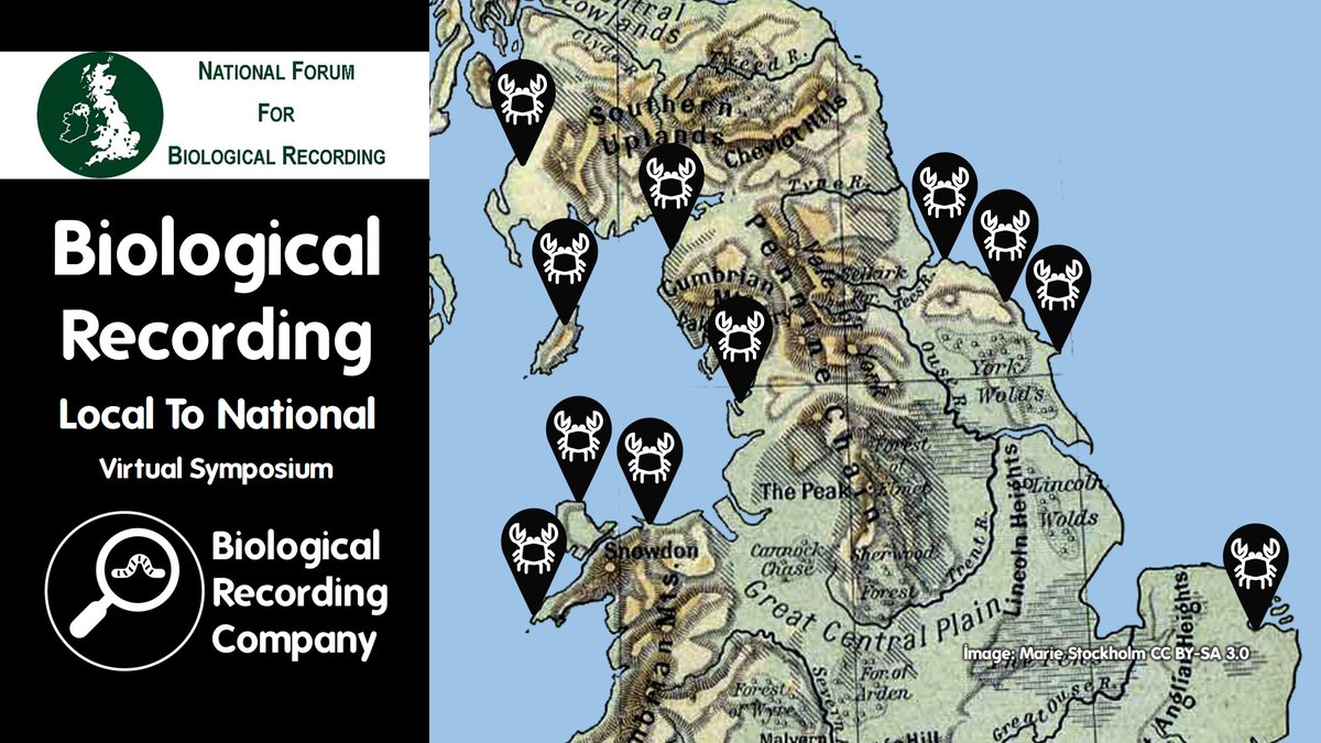 🌳The Biological Recording: Local To National Virtual Symposium will explore how biological recording is undertaken at varied geographic scales, from site-based recording to national surveillance schemes.
<a href="/_NFBR/">NFBR</a> <a href="/___BRC___/">BRC</a> <a href="/_ALERC_/">ALERC</a> <a href="/NBNTrust/">NBN Trust</a>

eventbrite.co.uk/e/1002992566767