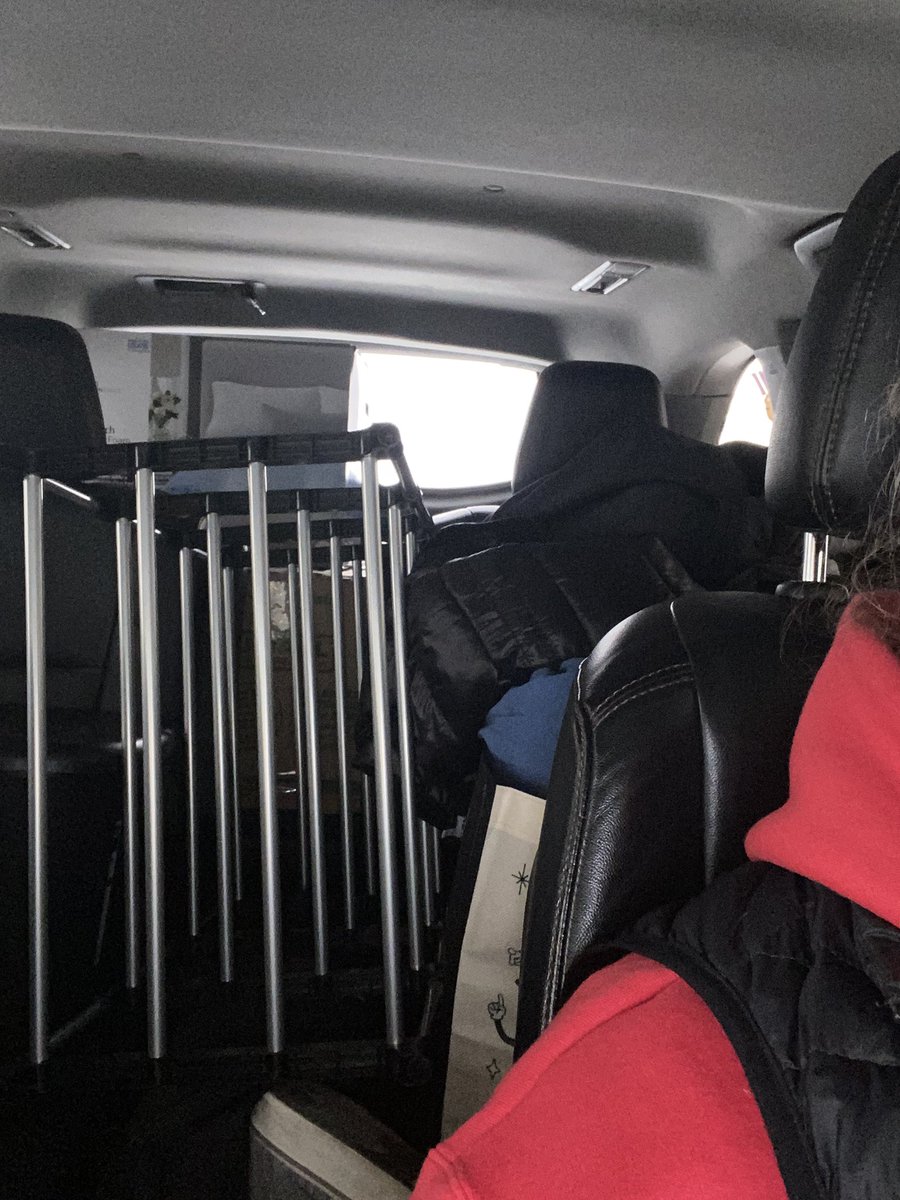 Brooke_C_S's tweet photo. Moving more stuff into the new house! ☑️🏡 #UTAHliving https://t.co/toqAJOv2oA