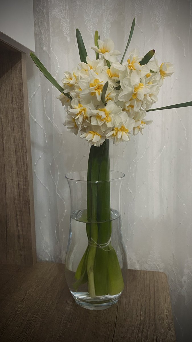 mukemmelbiredaa's tweet photo. nergis favlayinca nergis geliyor sanirim kizlar.. bu da bizim evin nasibi https://t.co/S6KSTYD2tS
