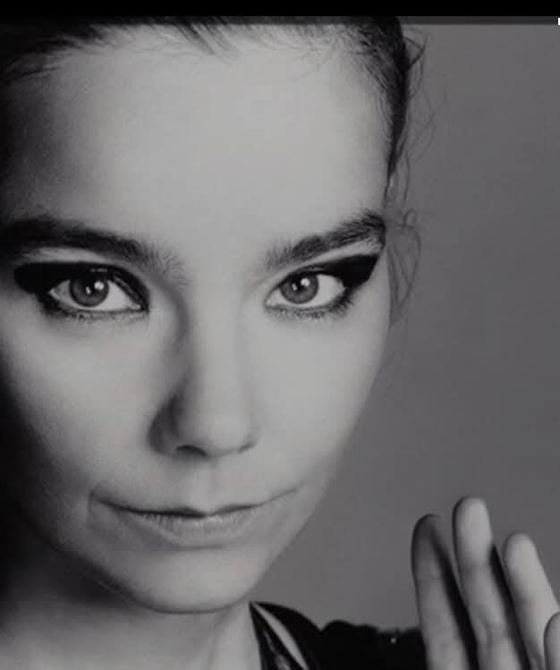 gunclub_music's tweet photo. Bjork https://t.co/tkGbzCl8D2