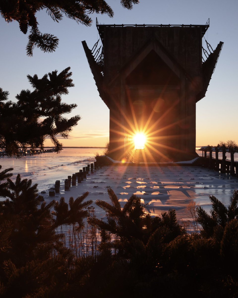 Bugsy Sailor tweet media