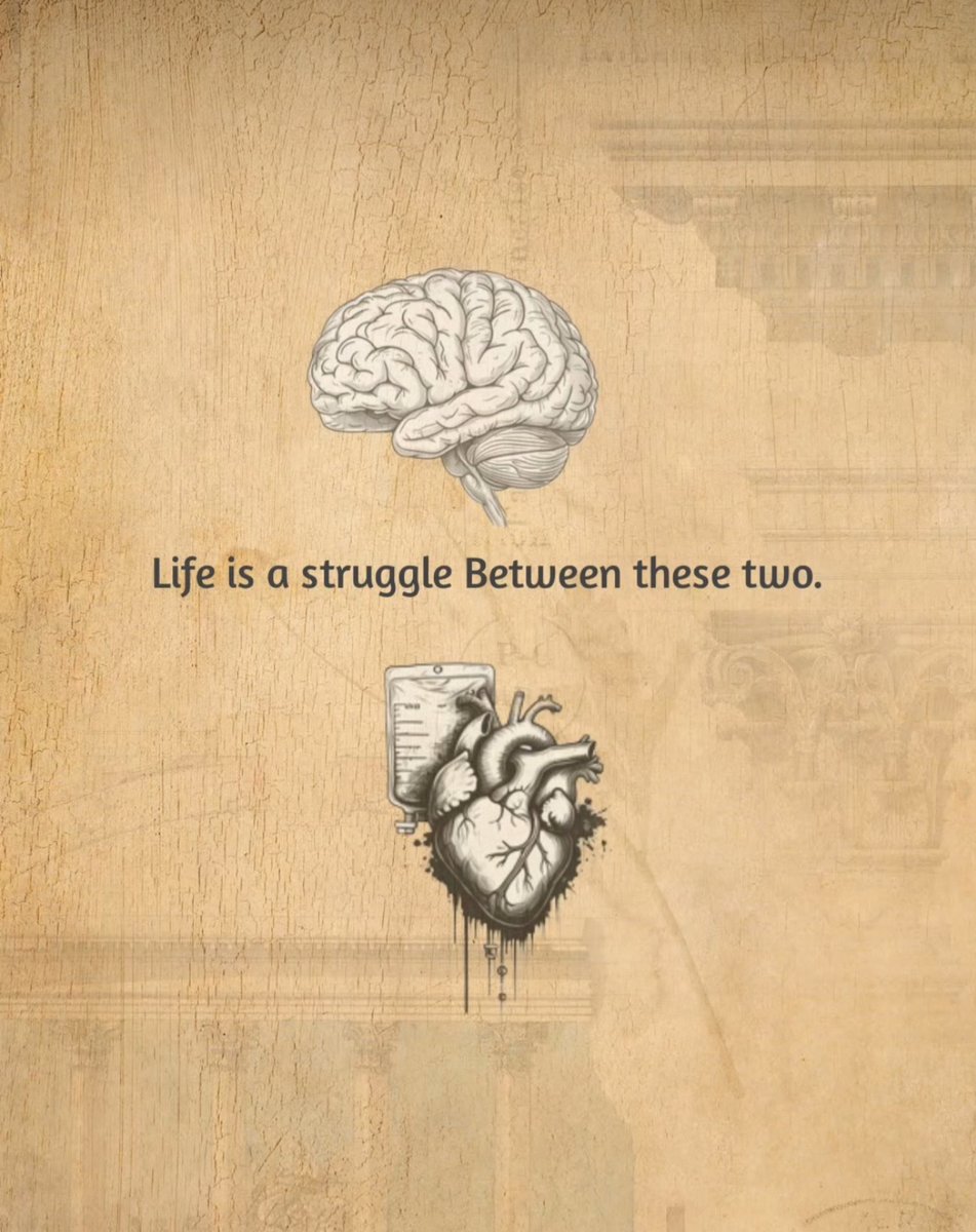 Mind Essentials (@mind_essentials) on Twitter photo 