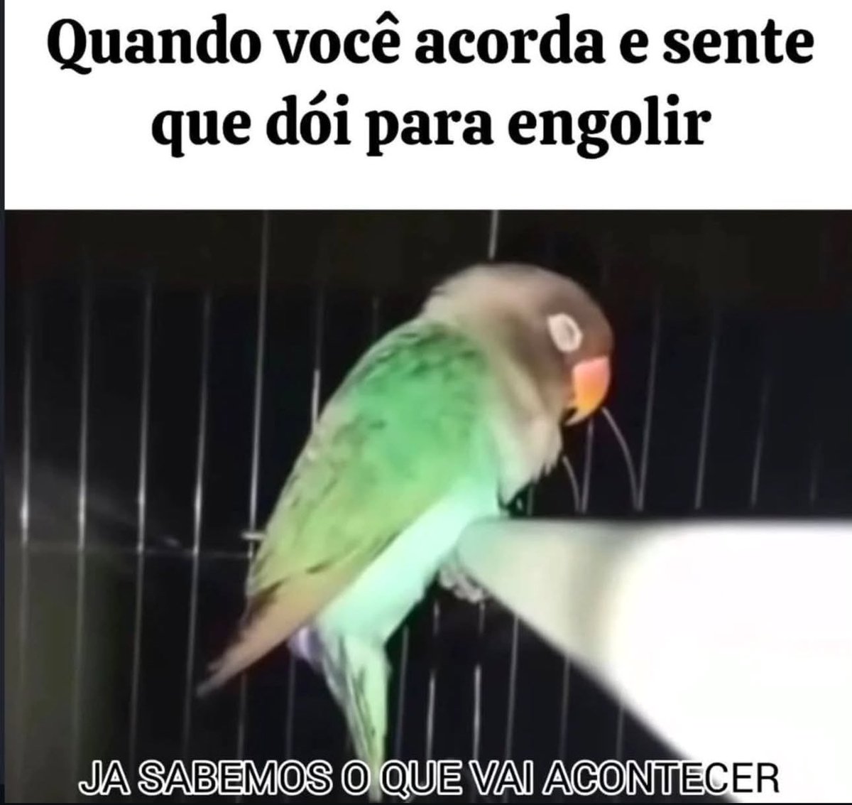 Shitpost só que de verdade (@shitpostverdade) on Twitter photo 