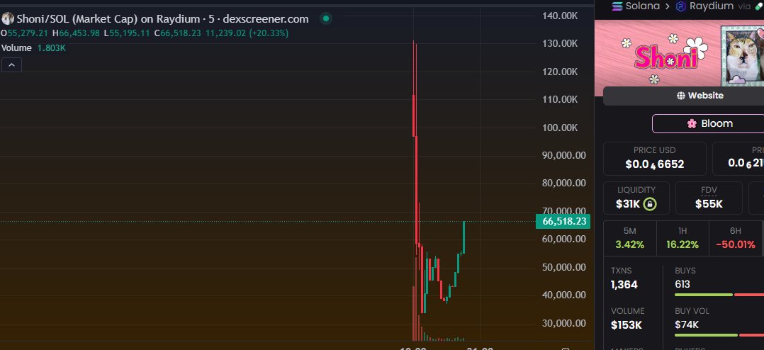 joohojo's tweet photo. Full reversal, make the jeets cry send it to millions. 

I called $AIZEN at 15k and ran to 15M, now $SHONI the creators cat Is at 40k, and you're not in?

cat meta + $AIZEN betaplay.

$SHONI

70k
BDroo46dfPkhD2Za9sqBMh6ffTJsNmdiaKtJDQP5pump https://t.co/79u7gp3tvX