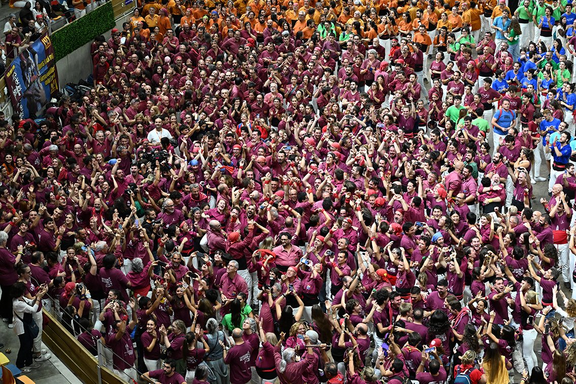 revistacastells's tweet photo. Colla de la temporada: 
Als Castellers de Lleida, per l’espectacular progressió en un any de consolidació del 4de8 i estrena de quatre construccions, una nova en el seu historial.
#NitdeCastells25 https://t.co/NSVE4UVgIu