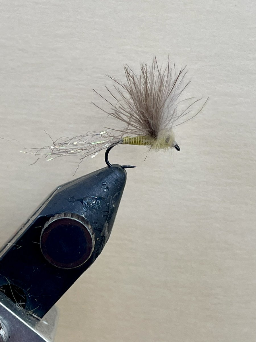 Playing around at the vise dreaming of spring evenings.  Some quill bodies. #flytying #flyfishing #trout
