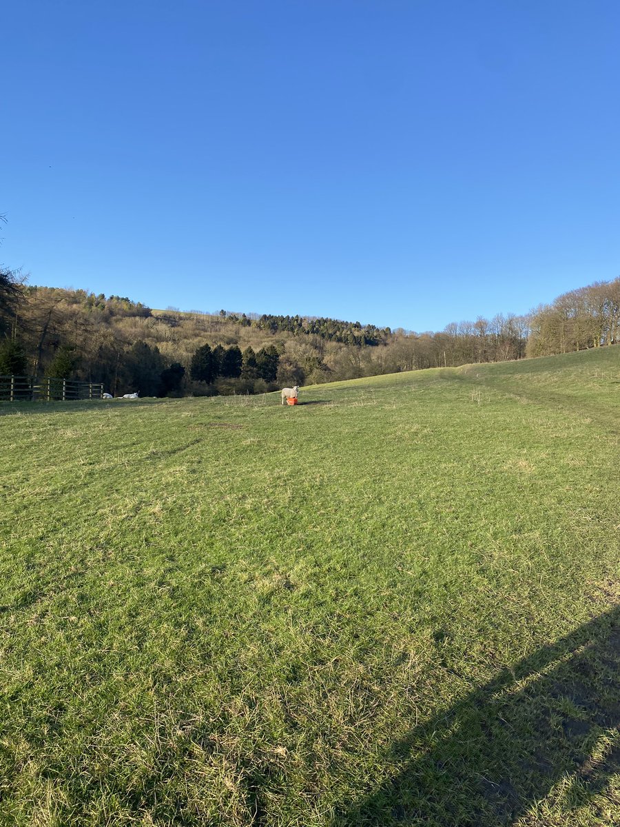 katiecakey123's tweet photo. Steady run in the Wolds with the husband. Absolutely beautiful blue skies, rather cold but lovely to see the sun βοΈ and to get on the trails. Long run tomorrow #runninggirl #justkeeprunning #SaturdayVibes #weekendwandering #marathontraining https://t.co/oqRLhGhra5